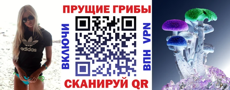 Псилоцибиновые грибы Magic Shrooms  Избербаш 