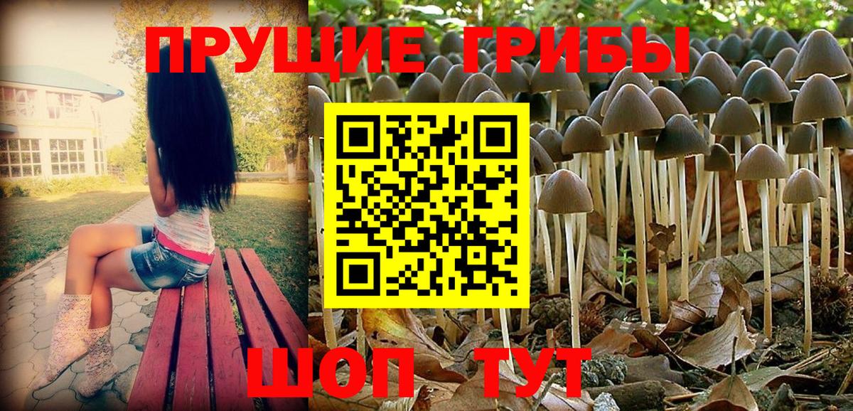 Псилоцибиновые грибы прущие грибы Избербаш